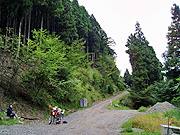 �|�C���g�A